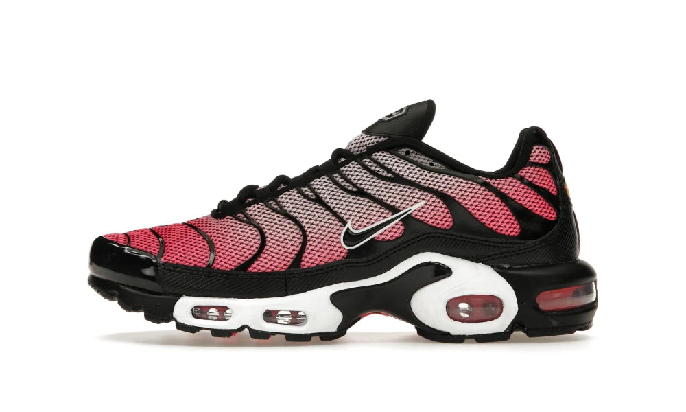 Nike Air Max Plus All Day