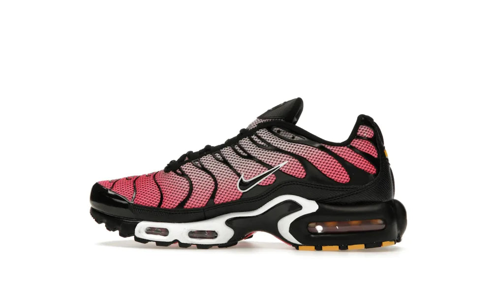 Nike Air Max Plus All Day