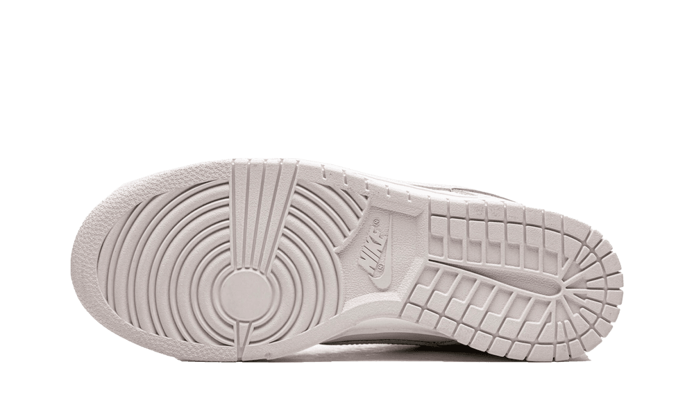 Nike Dunk Low Venice (W)